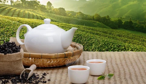 Fresh Tea Leaves from Majherdabri Tea Estate