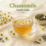 Gamusa Chamomile Gentle Calm Tea