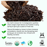 Gemini Strawberry Organic Darjeeling Black Tea - A Vibrant Zodiac Blend for the Synergizer