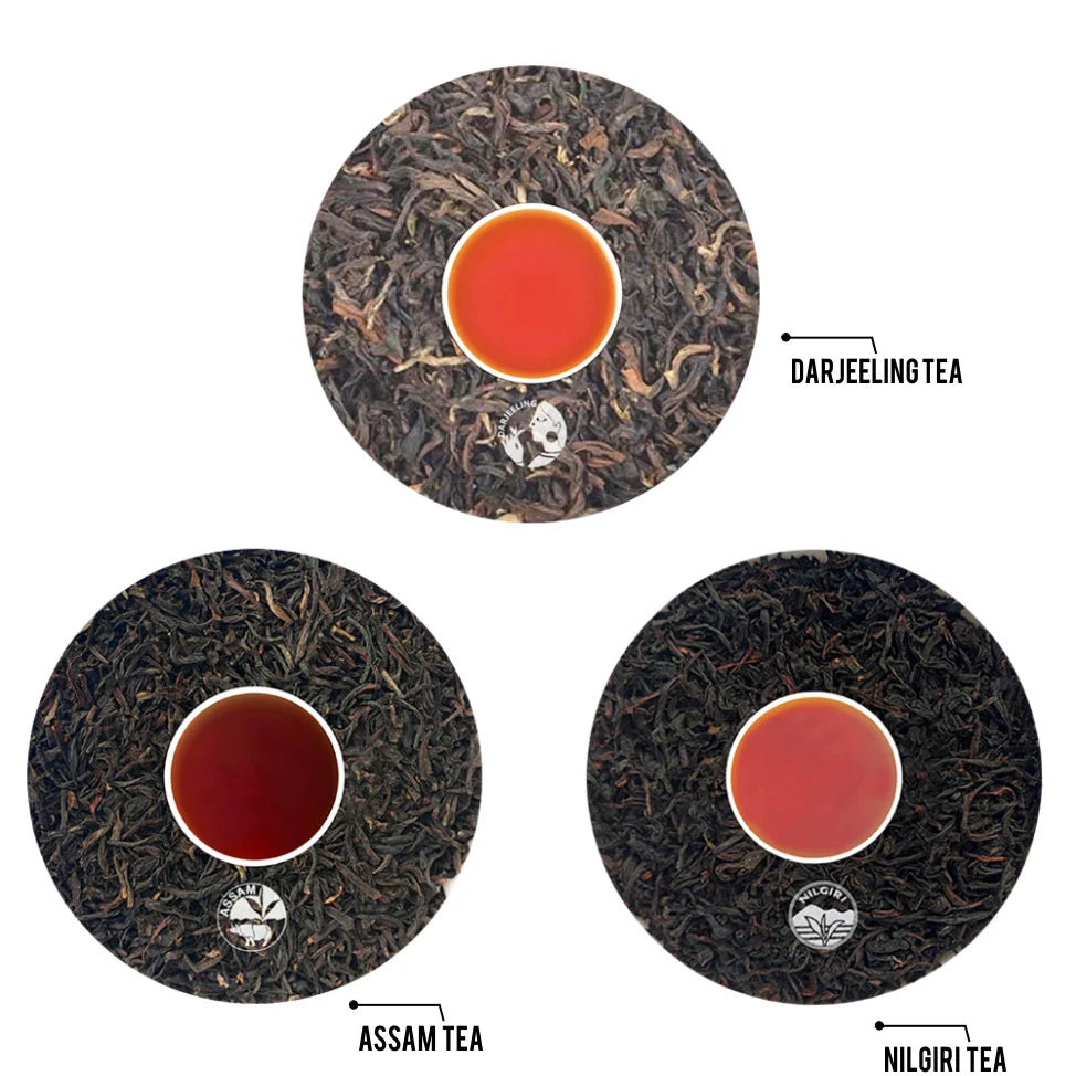 Golden Tips 3-in-1 Indian Tea Trio – Darjeeling, Assam & Nilgiri Tea