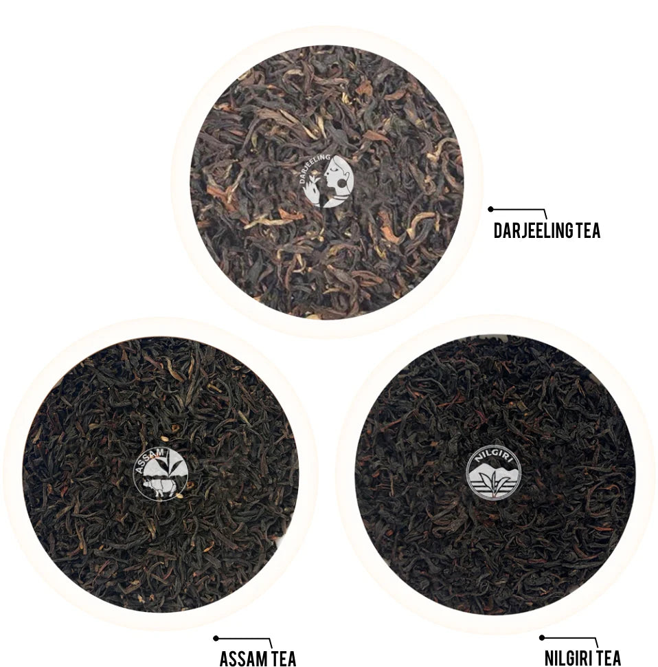 Golden Tips 3-in-1 Indian Tea Trio - Darjeeling, Assam & Nilgiri Dried Tea Leaves