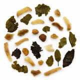 Gopaldhara Chaidhara Darjeeling Green Tea with Lemon, Ginger, Amla & Tulsi to Awaken Metabolism & Build Everyday Immunity - Biodegradable Pyramid Tea Bags
