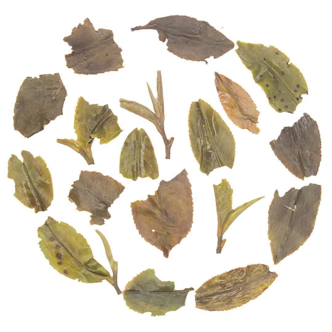Gopaldhara Classic First Flush Darjeeling Tea Infusion