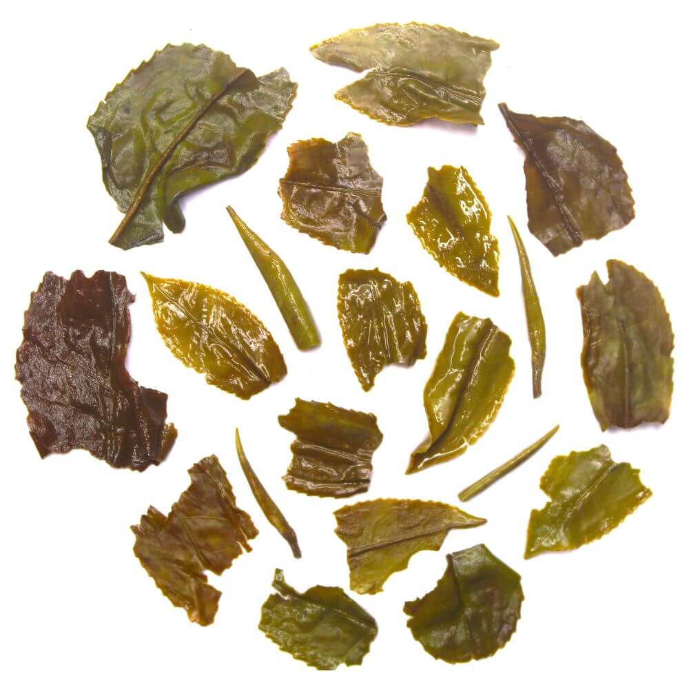 Gopaldhara Darjeeling Autumn Flush Yabukita Oolong Tea Infusion