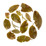 Gopaldhara Darjeeling First Flush Flowery Orange Pekoe Whole Leaf Black Tea