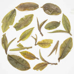 Gopaldhara Moondrop First Pick Darjeeling First Flush Oolong Tea Infusion