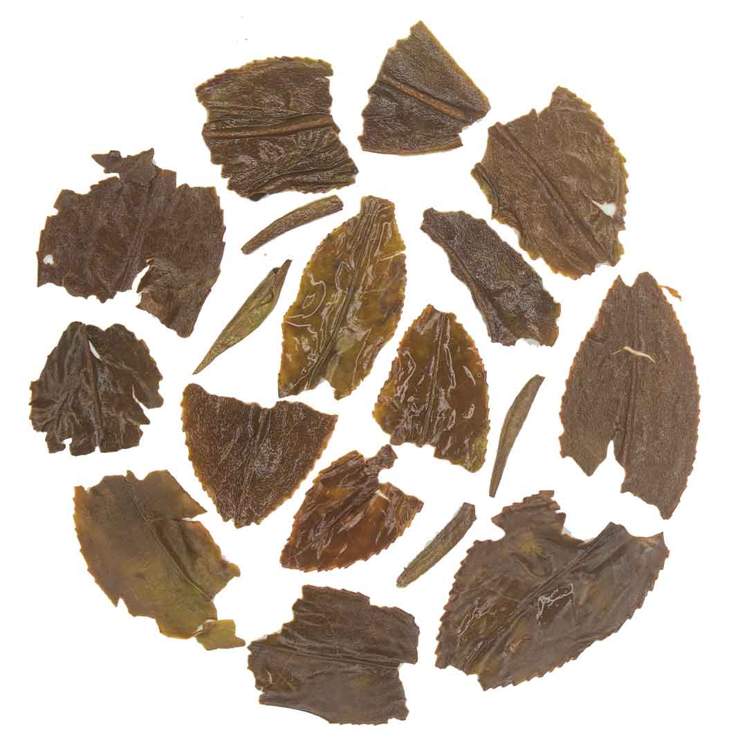 Gopaldhara Darjeeling Premium Autumn Flush Black Tea Infusions