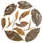 Gopaldhara Darjeeling Second Flush Silver Tips Oolong Tea Infusion