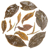 Gopaldhara Darjeeling Second Flush Silver Tips Oolong Tea Infusion