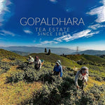 Gopaldhara Tea Estate Since 1881