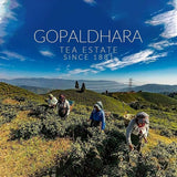 Gopaldhara Tea Estate Since 1881