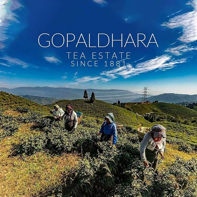 Gopaldhara Tea Estate Since 1881