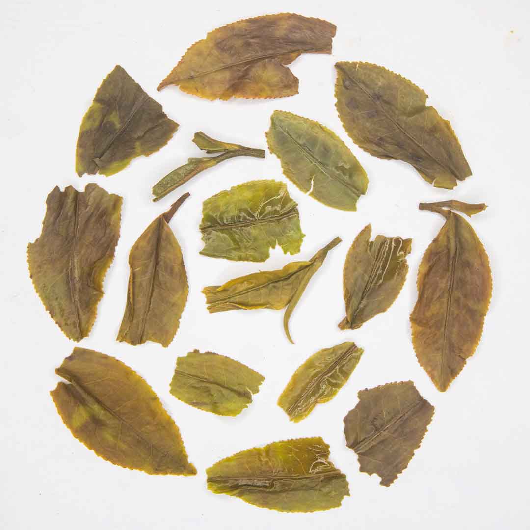 Gopaldhara Premium First Flush Darjeeling Tea Infusion