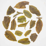 Gopaldhara Premium First Flush Darjeeling Tea Infusion