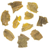 Gopaldhara Darjeeling First Flush Green Gold – Green Tea Crafted from Japanese Yabukita Clones