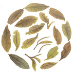 Gopaldhara Rare First Flush Spring Peony Tea Infusions
