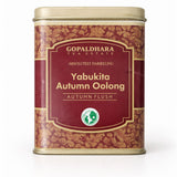 Gopaldhara Darjeeling Autumn Flush Yabukita Oolong Crafted from Japanese Yabukita Clones