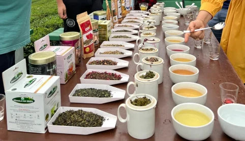Himalayan Brew Teas from Raipur Tea Estate