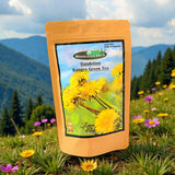 Himalayan Brew Dandelion Kangra Green Tea For Natural Detox Support