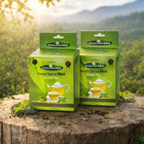 Himalayan Brew  Kangra Special Mint Green Tea – Pack of 2