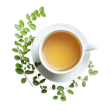 Himalayan Brew Moringa Kangra Green Tea with Tulsi – Steeped in Wellness
