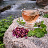 Himalayan Brew Kangra Green Tea with Basil, Mint and Rhododendron for Everyday Wellness  – Tea Bags – Pack of 2