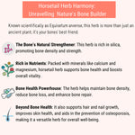 Horsetail Herb Harmony