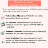Horsetail Herb Harmony
