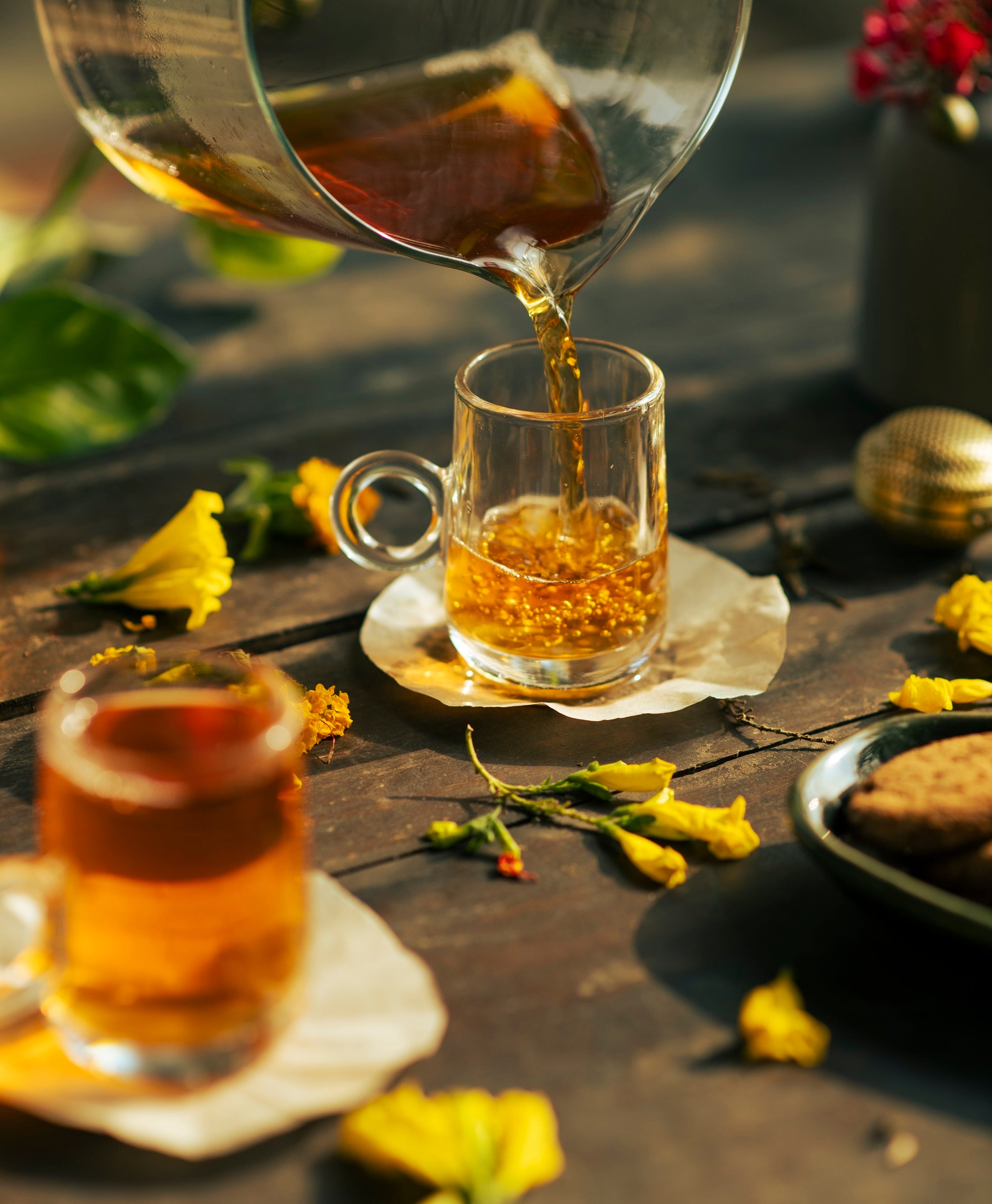 House of Tumsong Darjeeling First Flush Golden Brew Organic Tea