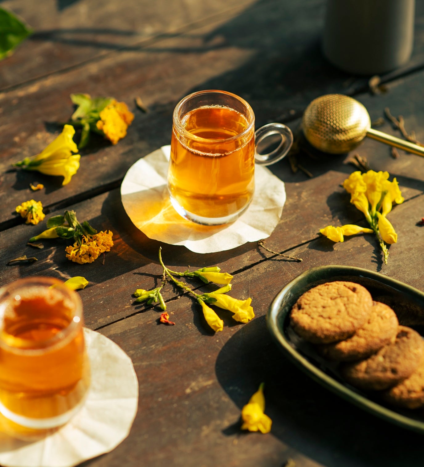 House of Tumsong Darjeeling Golden Brew Organic Tea