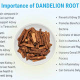 Importance of Dandelion Root