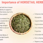 Importance of Horsetail Herb