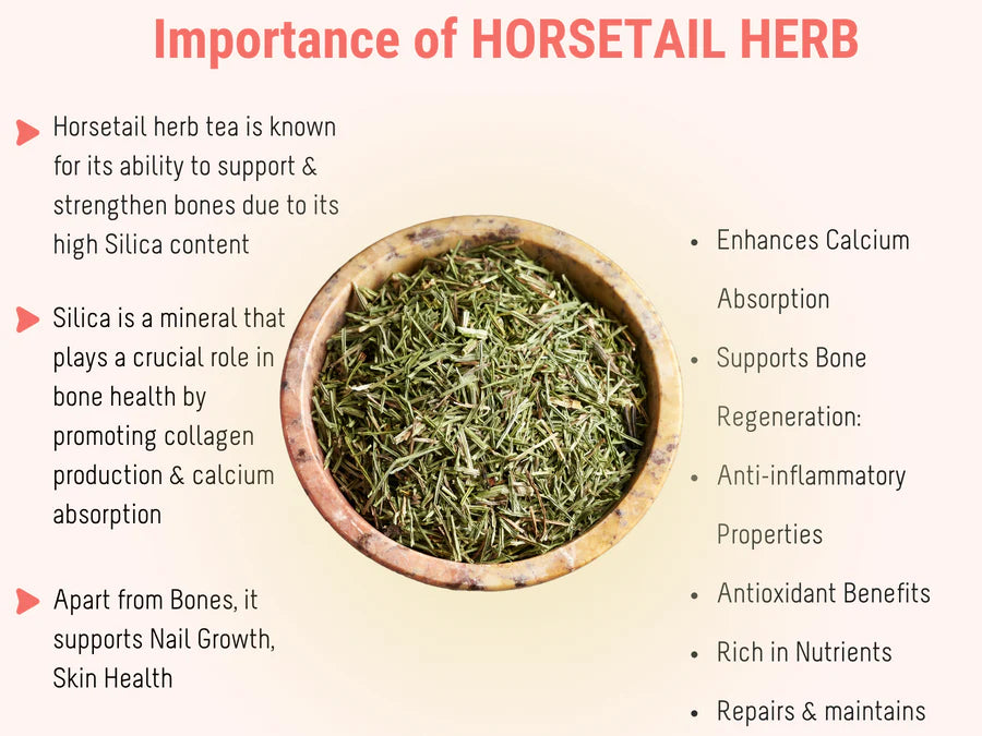 Importance of Horsetail Herb