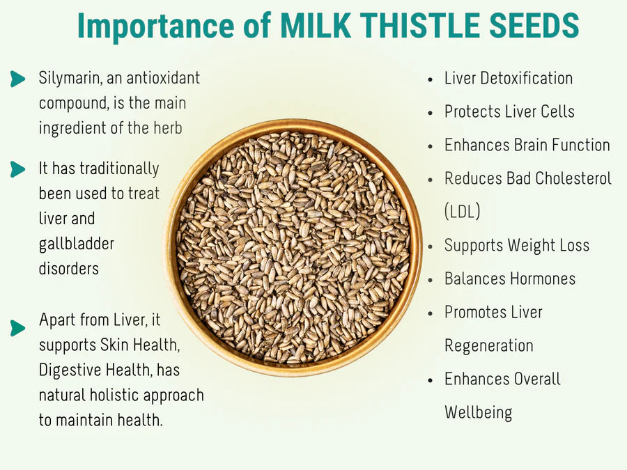 Importance of Milk Thistle Seeds