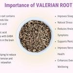 Importance of Valerian Root