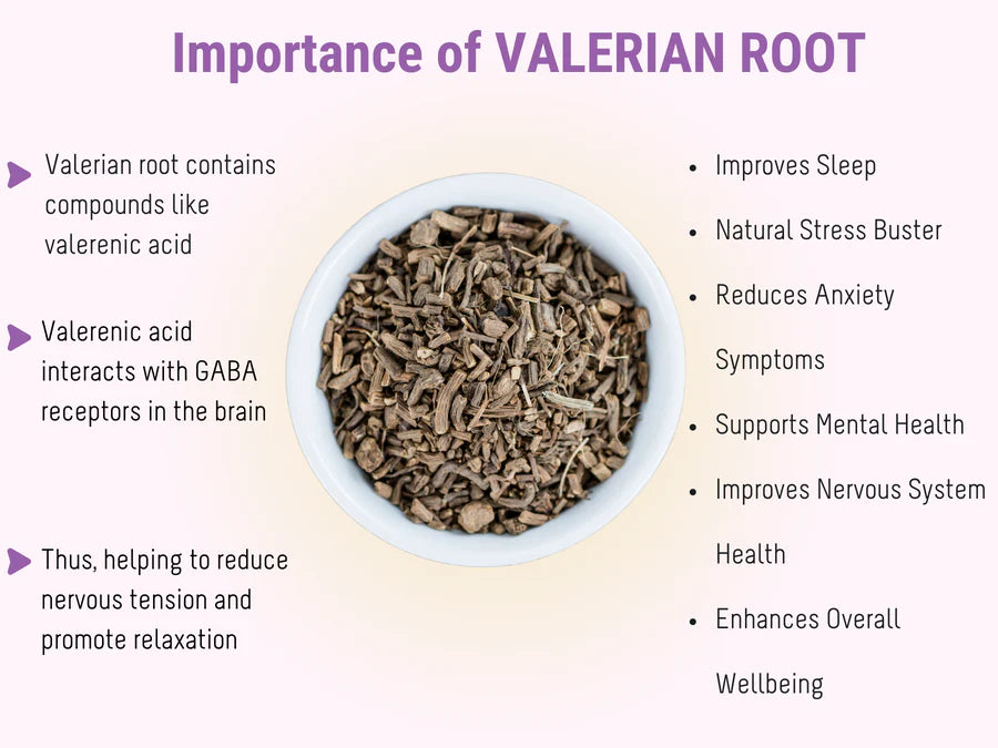 Importance of Valerian Root