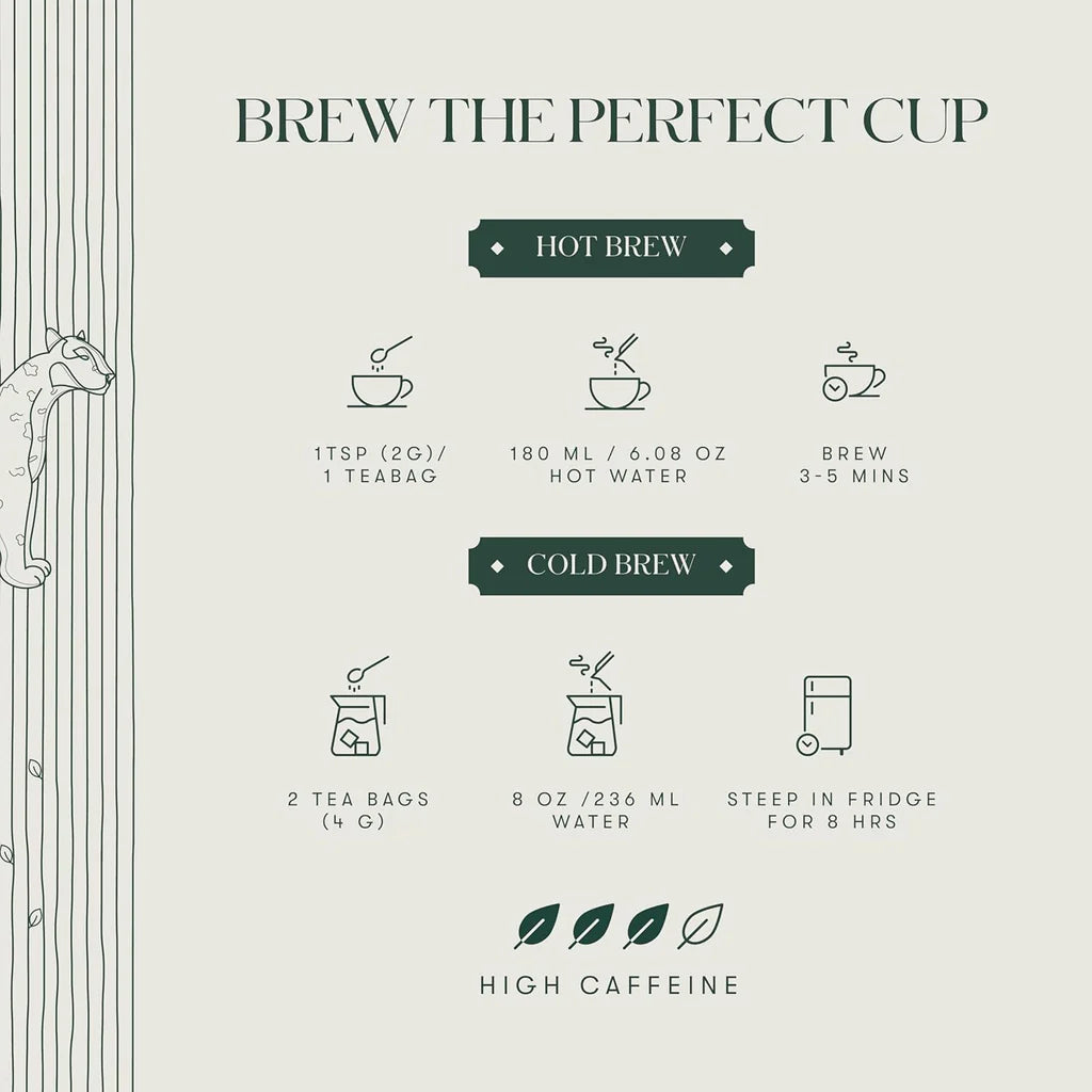 Instructions for Brewing Luxm Hot and Cold Brew Coffee