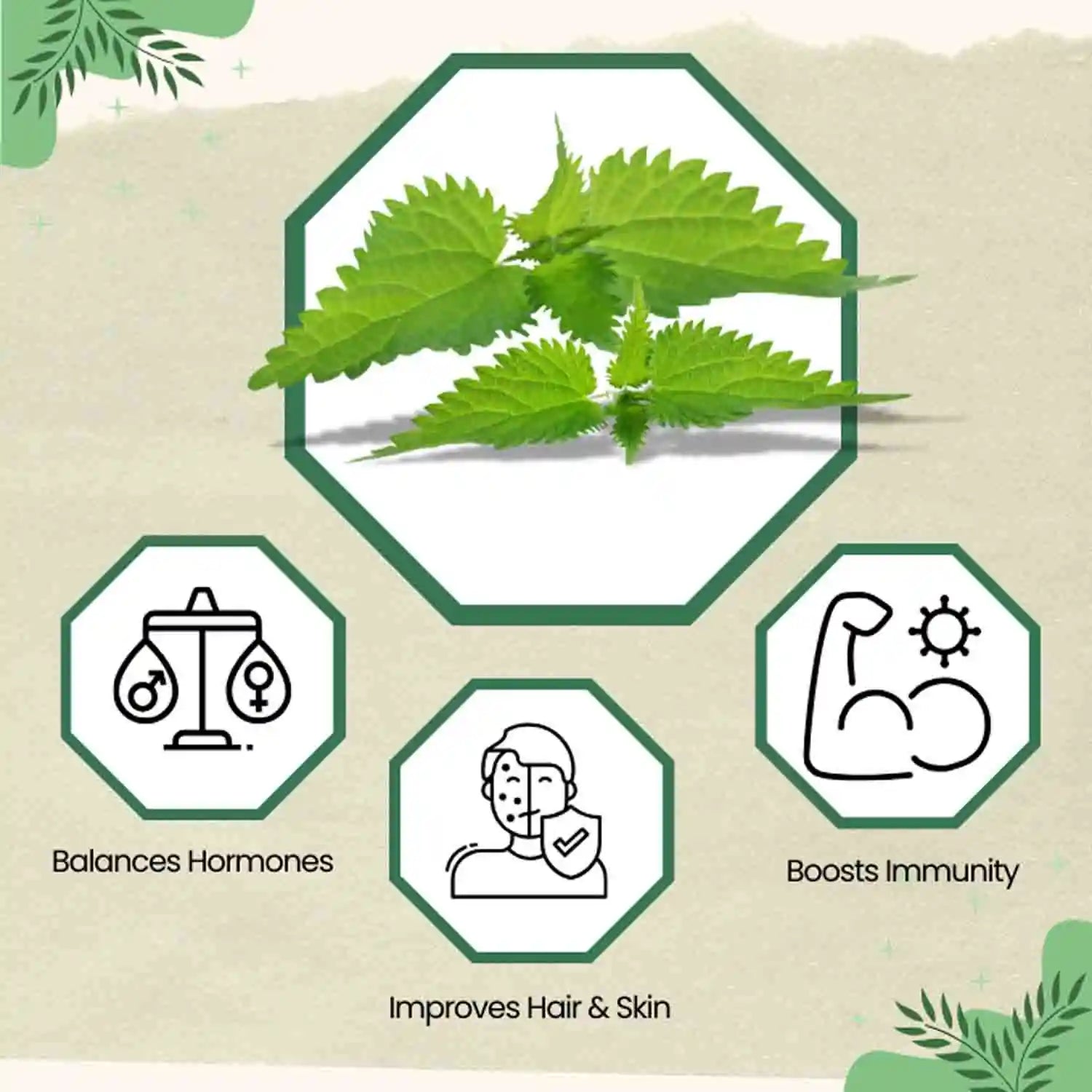 Jaivik Uttarakhand Organic Nettle Herbal Infusion