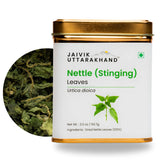 Jaivik Uttarakhand Organic Nettle Herbal Infusion for Daily Detox & Nutrient Replenishment