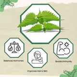 Jaivik Uttarakhand Organic Nettle Herbal Infusion for Daily Detox & Nutrient Replenishment