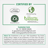 Rohini Jasmine Scented Silver Needles Darjeeling White Tea Infused With Fresh Jasmine Blossoms