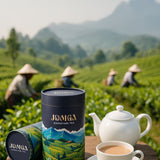 Jomga Signature Broken Orange Pekoe Black Tea – From the Gardens of Munnar