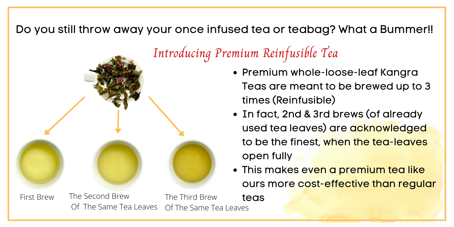 Kangra ImmuniTEA Introducing Premium Reinfusible Tea