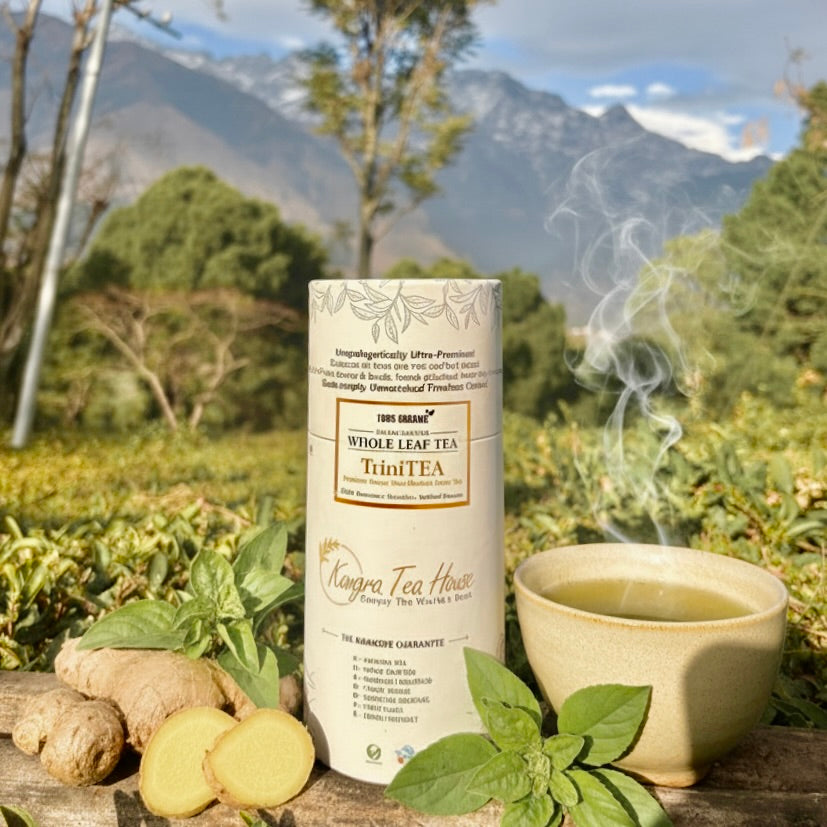 Kangra Tea House TriniTea Premium Ginger Tulsi Mulethi First Flush Green Whole Leaf Tea Canister