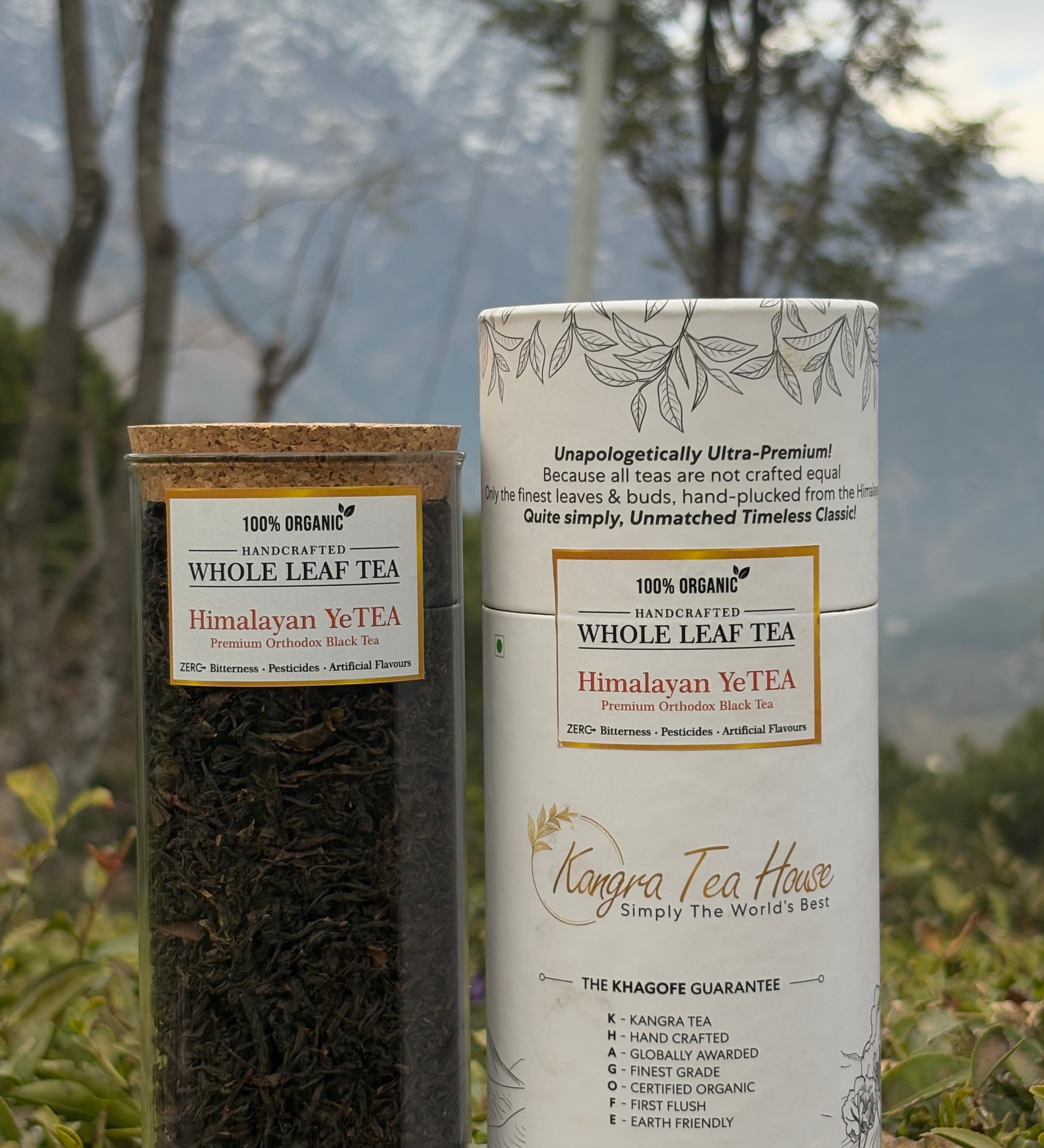 Kangra Tea House Himalayan YeTEA 100% Organic First Flush Orthodox Whole Leaf Black Tea