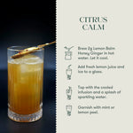 Luxmi Tea Citrus Lemon Balm Honey Ginger