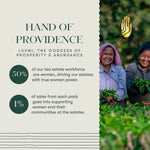 Luxmi Tea- Hand of Providence