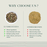 Luxmi Tea Organic Lemon Balm Honey Ginger Herbal Infusion for Lifting Mood and Soothing Throat