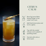 Luxmi Tea Organic Lemon Balm Honey Ginger Herbal Infusion for Lifting Mood and Soothing Throat