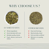 Luxmi Tea Organic Moringa Mint Herbal Infusion for Digestive Wellness and Vitality - Powerhouse Blend